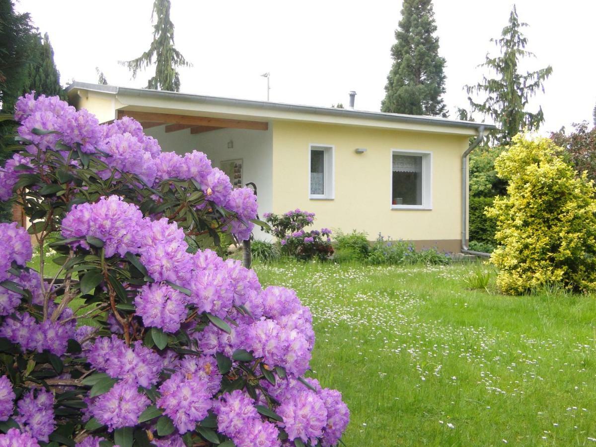 Sommerhaus Im Gruenen Berlin Zewnętrze zdjęcie