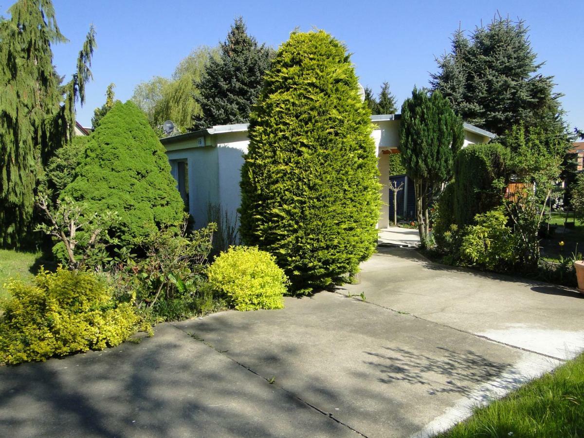 Sommerhaus Im Gruenen Berlin Zewnętrze zdjęcie